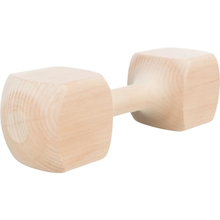 Trixie Wooden retrieving dumbbell angular 25 cm approx. 650 G