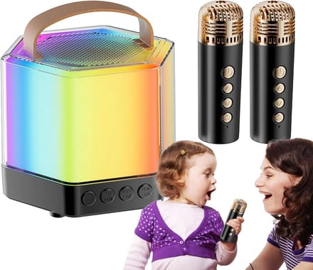 Karaoke Machine - Zing Installatie - Feesten Muziek - Met 2 microfoons - 12 x 12 x 12 cm - Zwart