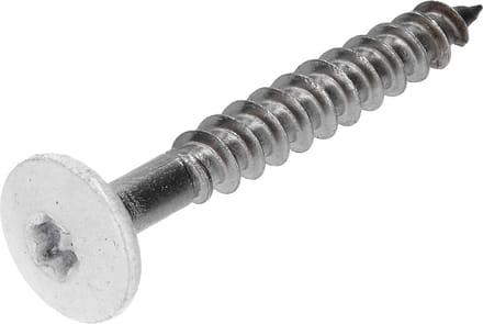 Gevelplaatschroef RK torx 4,8x38 per 30 r.v.s. wit
