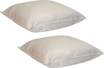 iSleep Kapok Hoofdkussen Set (2 Stuks) - 100% Kapok - 60x60 cm (BE)
