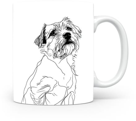 Beker Norfolk Terrier