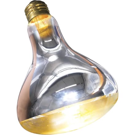 Verwarmde terrariumlamp Zoomed SL250E