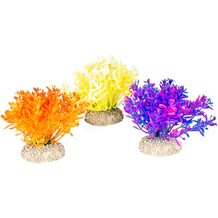 Aquarium planten decoratie Aqua Della Glosso