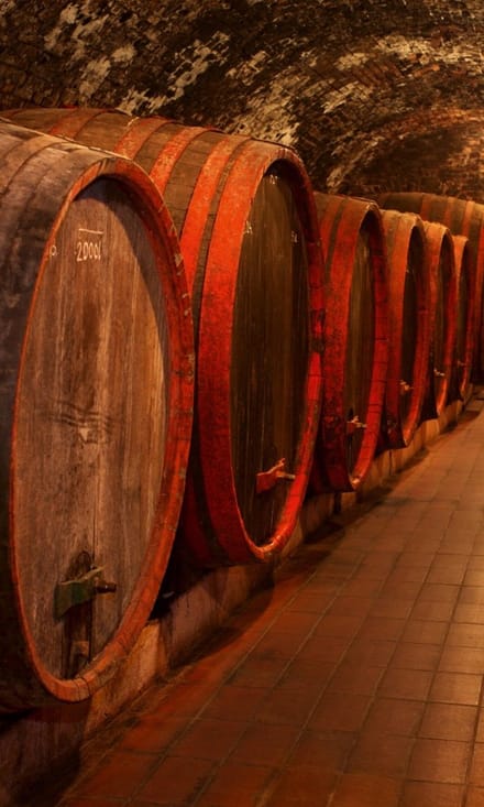 Fotobehang - Wine Barrels 150x250cm - Vliesbehang
