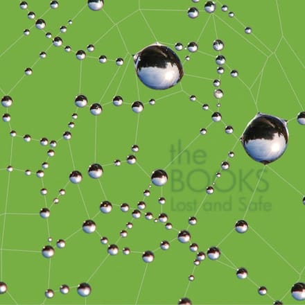 The Books - Lost And Safe (CD) (Remastered)