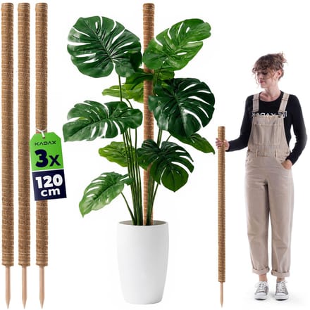 Cande kokosplantenstok 120 cm potsteun 3 st.