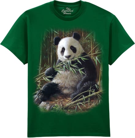 Bamboo Panda The Coloured House T-shirt XL