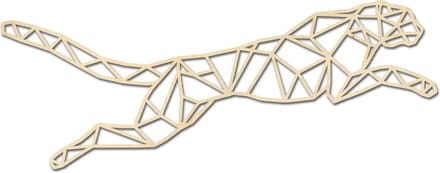 Geometrische Cheetah / Dieren