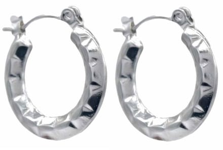 Oorbellen - Oorringen - RVS - 2 cm - Zilverkleurig