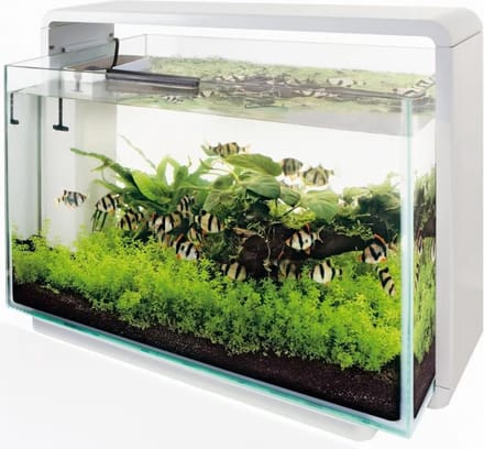 Glazen dekruit home aquarium 80