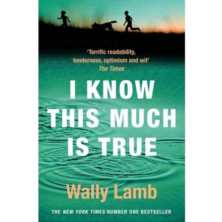 I Know This Much Is True - Wally Lamb