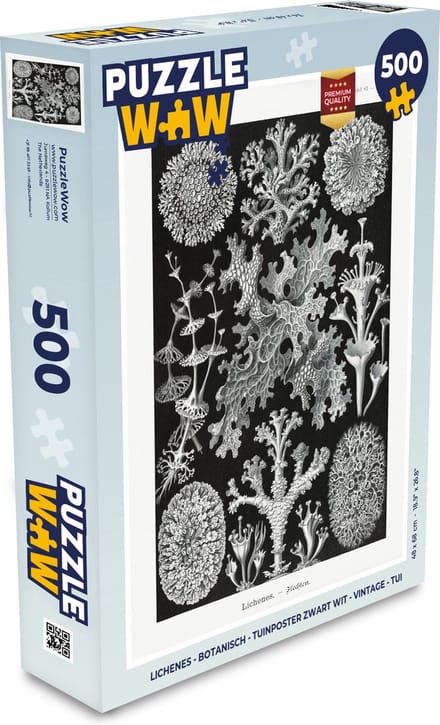 Puzzel Kunst - Koraal - Ernst Haeckel - Oude meesters - Natuur - Legpuzzel - Puzzel 500 stukjes