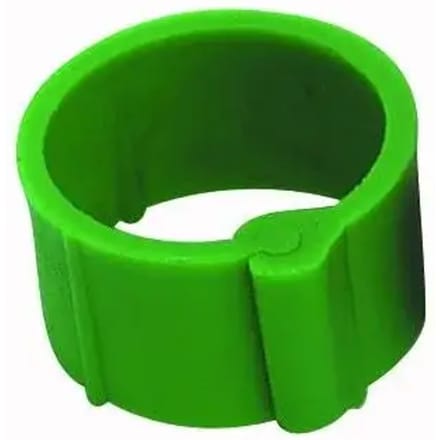 Klemring Chick'A (x25)
