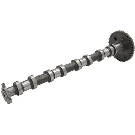 Nokkenas  FRECCIA CM05-2407