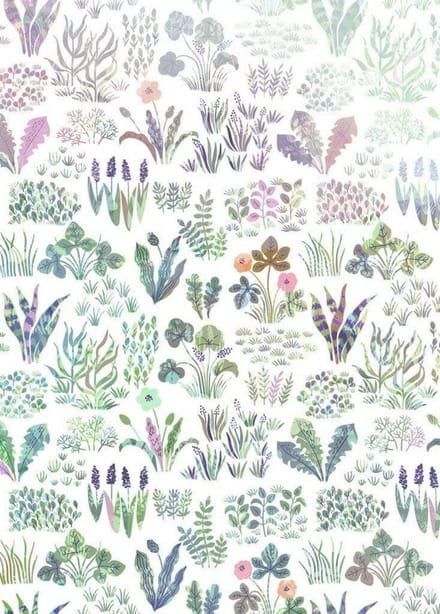 Fotobehang - Flower Farm 200x280cm - Vliesbehang