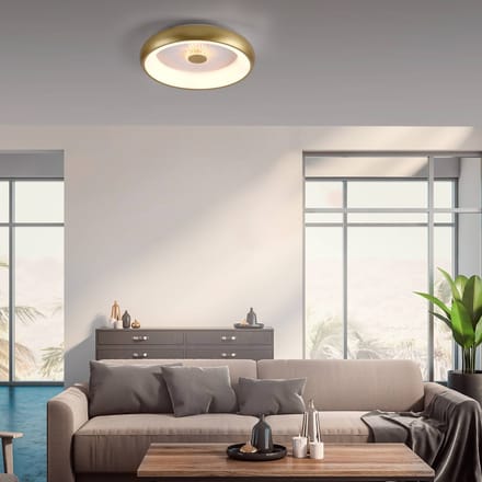 JUST LIGHT. GmbH Vertigo LED plafondlamp, CCT, Ø 46,5 cm, messing