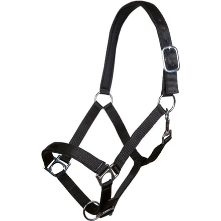 Halster voor paarden HKM Stars