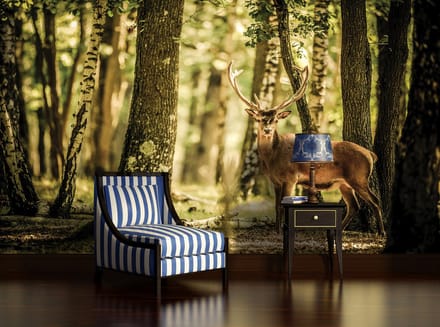 Deer Trees Forest Nature Photo Wallcovering
