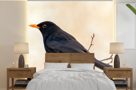 Behang - Fotobehang Merel - Vogel - Takken - Bes - Rood - Breedte 280 cm x hoogte 280 cm