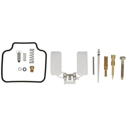 Carburateur INPARTS IP000480
