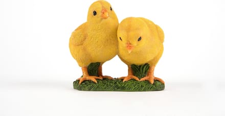 twee kuikens