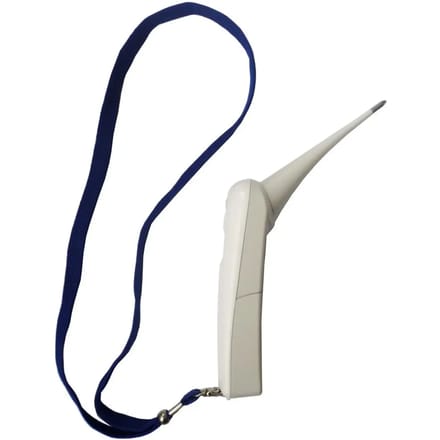 Digitale veterinaire thermometer Kamer