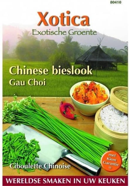 Buzzy® Xotica Chinese Bieslook