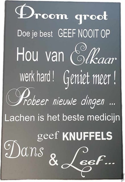 Houten tekst - spreukenbord - droom groot - wandbord - decoratieve wall art