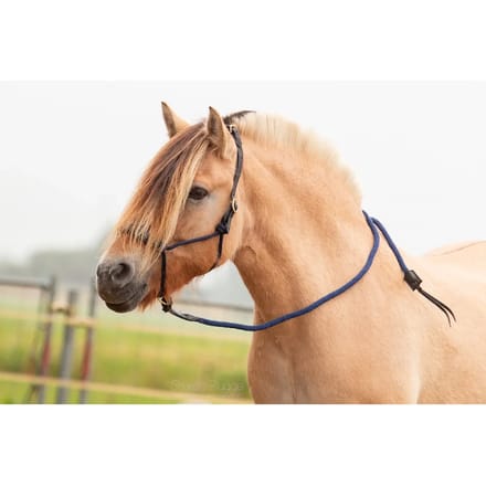 Leren halster voor paarden Edix Saddles Resi