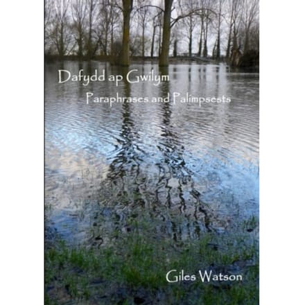 Dafydd Ap Gwilym: Paraphrases And Palimpsests - Giles Watson
