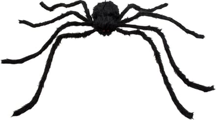 Boland - Decoratie Harige spin Graveweaver - Horror - Horror