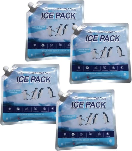 Herbruikbare Koelelementen - Vrieselementen Set - Picknick Camping Reizen - Opvouwbaar Ontwerp - 4 Stuks 800 Ml - null