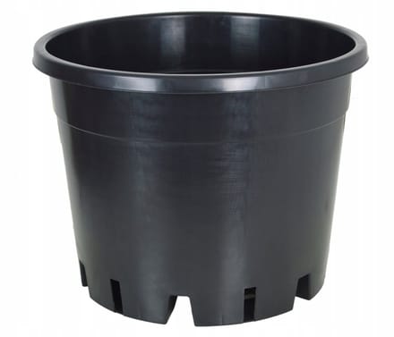 Plantenbak Blauwe Bes 39x30cm - 25L - Speciale Bodem