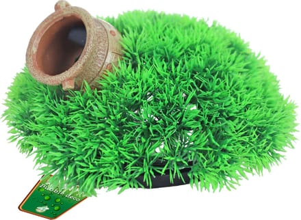 De Boon Green mosspot met uitstromer voor aquarium | 21 x 9,5 cm bubbelornament