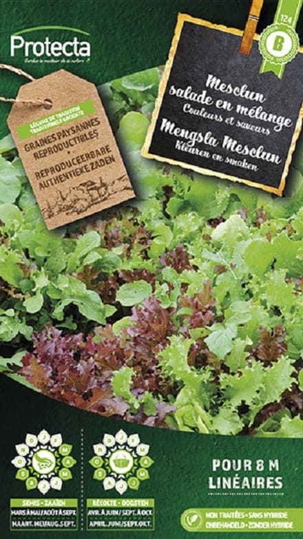 Protecta Groente zaden: Mengsla Mesclun