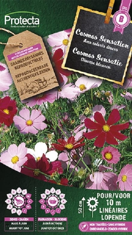 Protecta Bloemen zaden: Cosmos Sensatie Gemengd