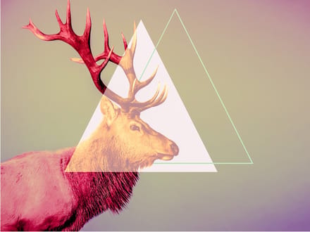 Fotobehang - deer (graphic pattern).