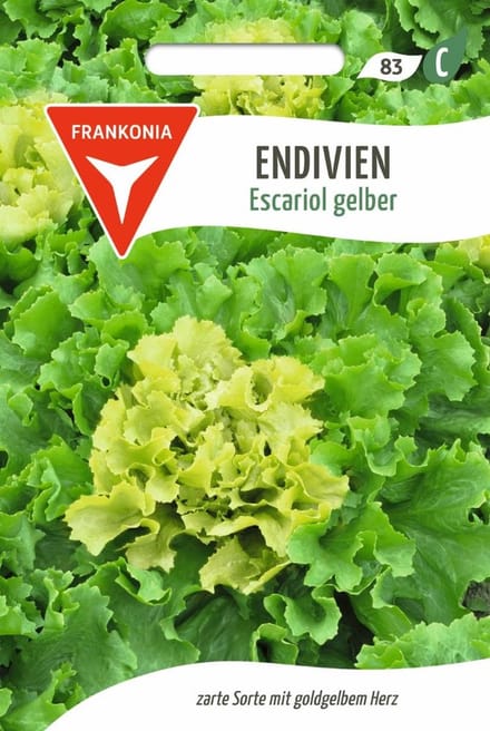 Andijvie, gele escarole - groentezaden, zaden
