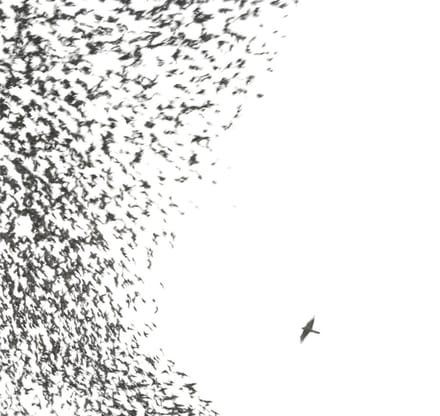 Sky Blue Sky - Wilco