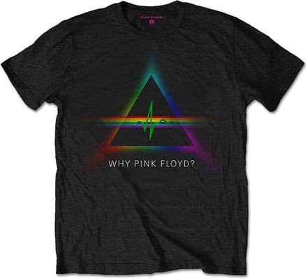 Pink Floyd - Why Heren T-shirt - M - Zwart
