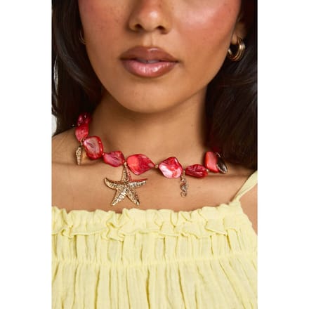 boohoo Dames Schelp Zeester Statement Bedel Ketting | Goud