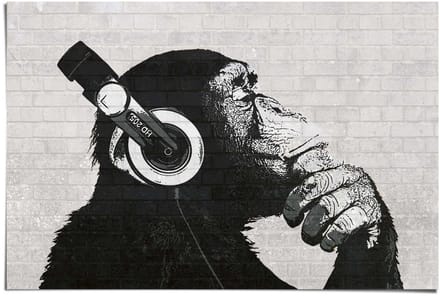 Poster The Chimp Stereo - wall - 61 x 91,5 - Papier - REINDERS