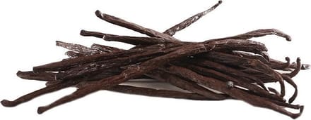 Vanillestokjes Premium Bourbon | 12 cm (5 stuks) + Gratis Glazen Bewaarbuis