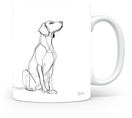 Beker Schillerstövare (Schiller Hound)