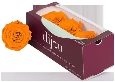 3x Dc pres.rozen lime orange