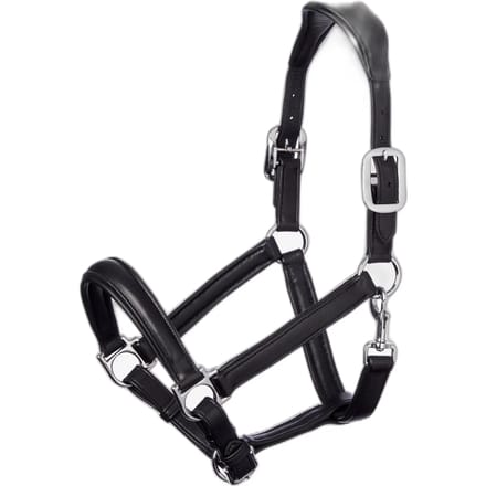 Halster voor paarden LeMieux Anatomic