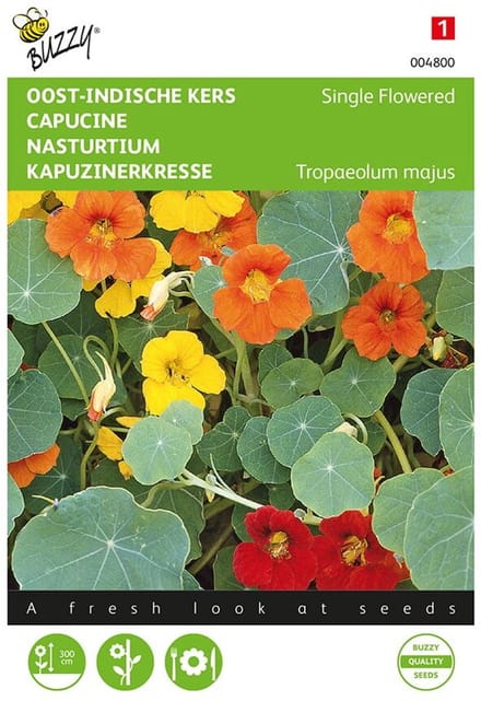 Oost-Indische kers mix - Tropaeolum majus (rankend gemengd)