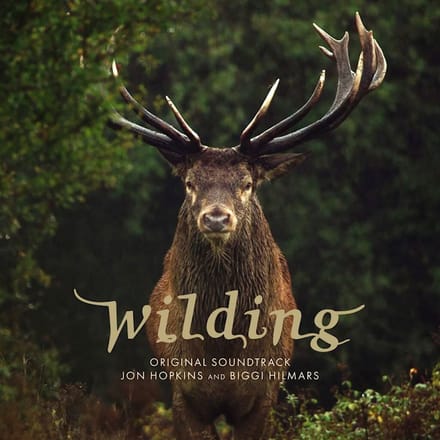 Wilding - Jon Hopkins & Biggi Hilmars