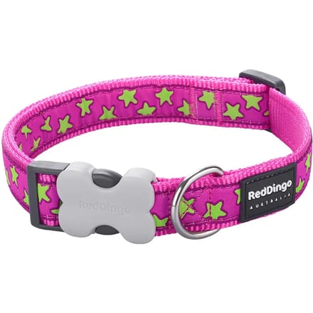 Verstelbare hondenhalsband Red Dingo