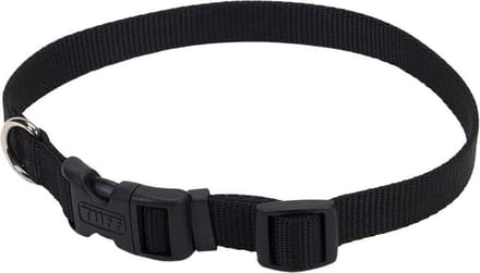 Halsband zwart medium (nek 35,5-50,8 cm) 2 cm breed